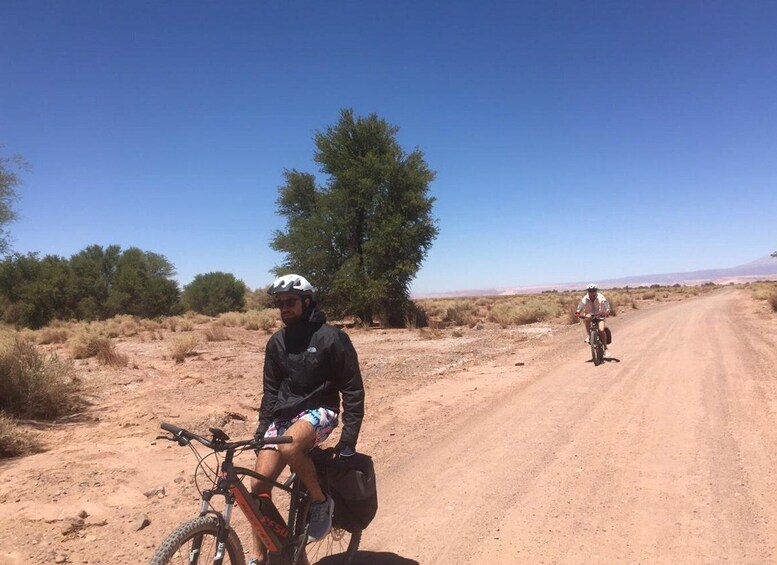 Picture 3 for Activity From San Pedro de Atacama: Laguna Cejar E-biking Adventure