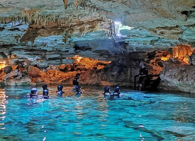 Riviera Maya: Kantun Chi Cenotes, Snorkel & Jungle Hiking