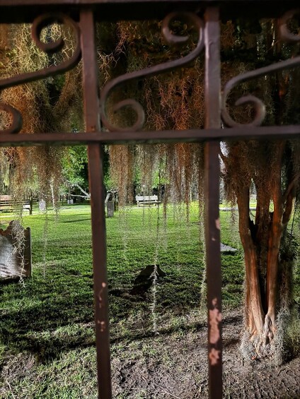 Picture 24 for Activity Savannah: Adults-Only Dead of Night Walking Tour