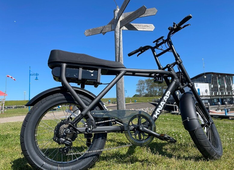 Texel: Electric Fatbike Rental