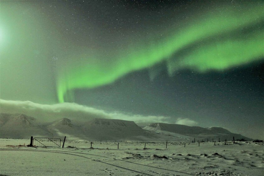 Picture 4 for Activity Akureyri: Hunt for the Northern Lights Photography Tour