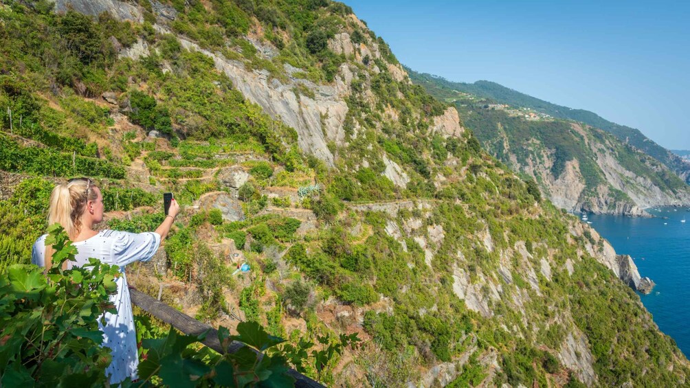 Picture 7 for Activity Riomaggiore: Vineyard & Wine Cellar Tour with Wine Tasting