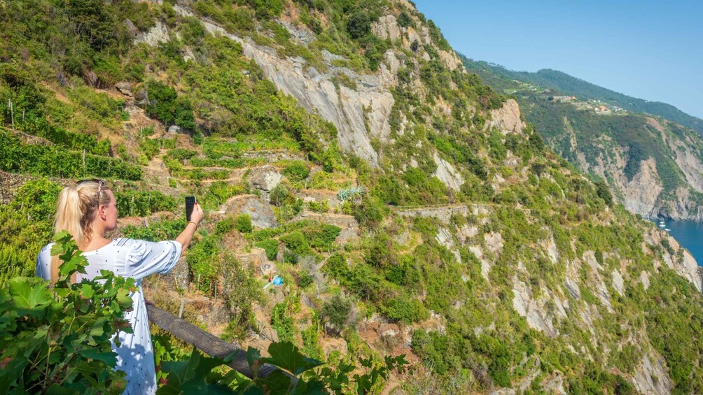 Picture 7 for Activity Riomaggiore: Vineyard & Wine Cellar Tour with Wine Tasting