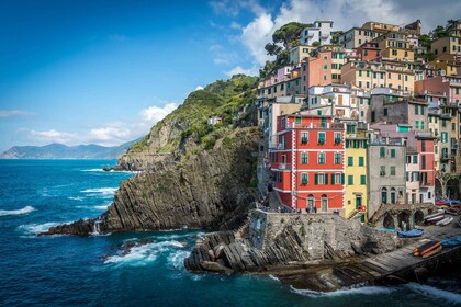 Riomaggiore: Tour dei vigneti e delle cantine con degustazione di vino