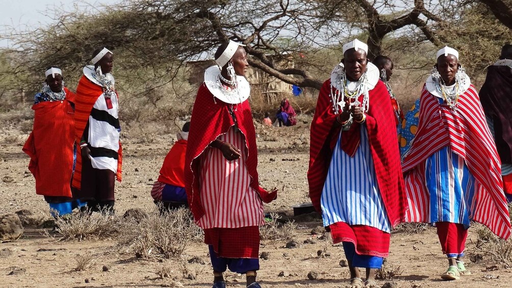 Picture 13 for Activity Maasai village visit and chemka hot-springs with hot lunch