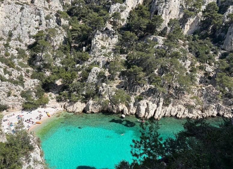 Picture 6 for Activity Cassis: Calanques National Park Standup Paddleboarding Tour