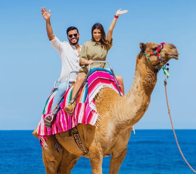 Picture 3 for Activity Cabo: Camel Safari Adventure with Tacos