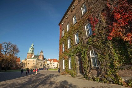 คราคูฟ: Wawel Guided Tour พร้อมอาหารกลางวันและล่องเรือในแม่น้ำ