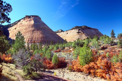Zion National Park: Self-Driving Audio Guided Tour