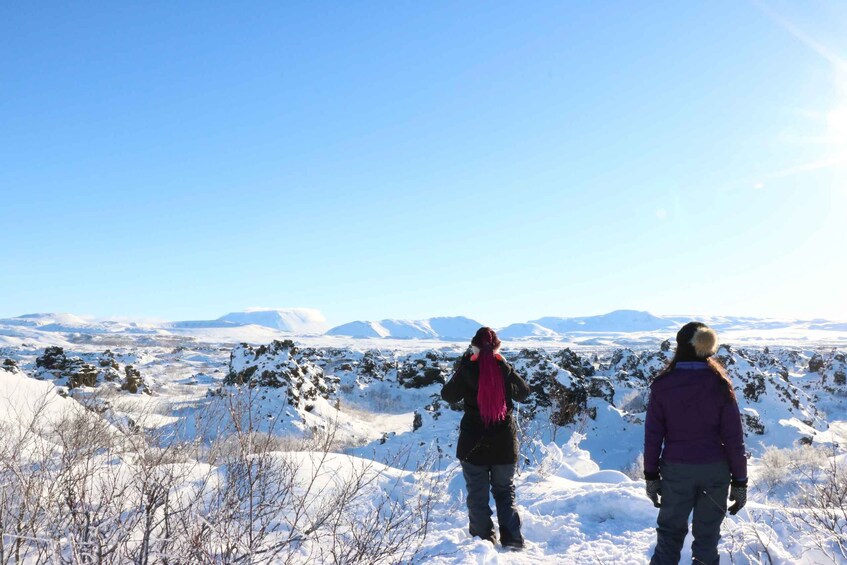 Picture 5 for Activity Akureyri: Day Trip to Goðafoss, Lake Mývatn & Nature Baths