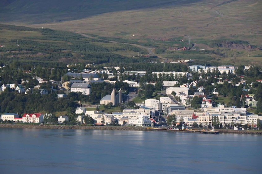 Picture 10 for Activity Akureyri: Day Trip to Goðafoss, Lake Mývatn & Nature Baths