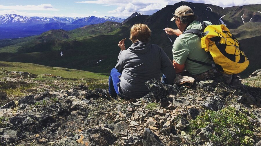 Denali: Denali National Park Walking Tour