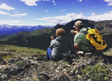 Denali: Denali National Park Walking Tour
