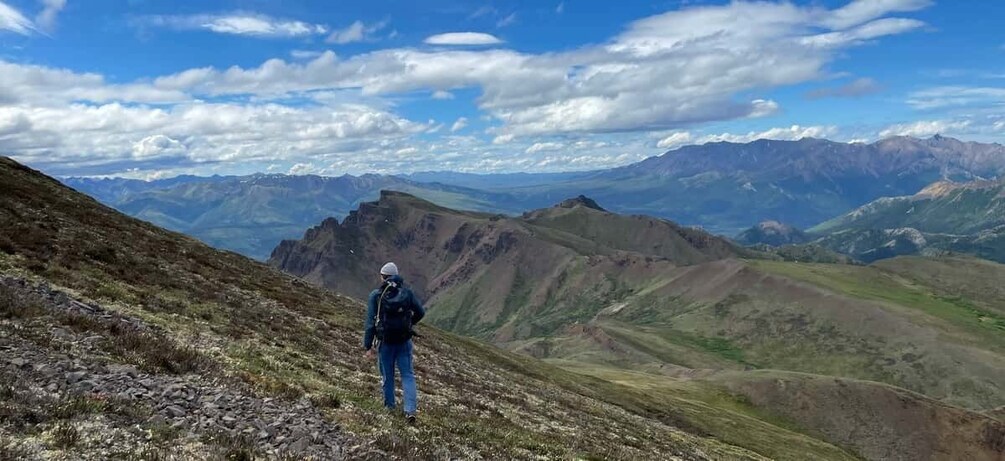 Picture 4 for Activity Denali: Denali National Park Walking Tour