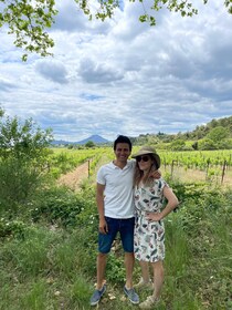 Pic Saint Loup wine tasting, villages and panoramic views