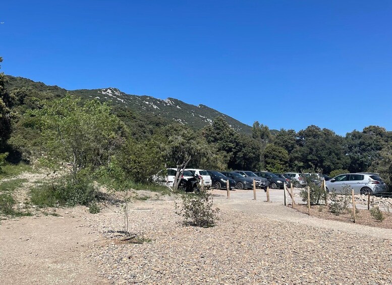 Picture 2 for Activity From Montpellier: Pic Saint Loup Hike with Panoramic Views