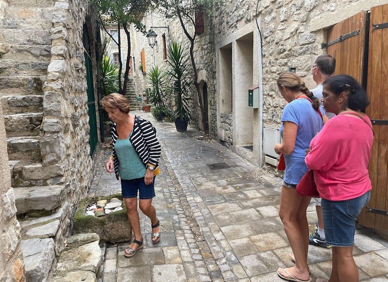 Picture 1 for Activity Pic Saint Loup wine tasting, villages and panoramic views