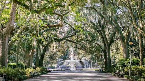 Savannah: Historia, kultur och natursköna vyer E-Bike Tour