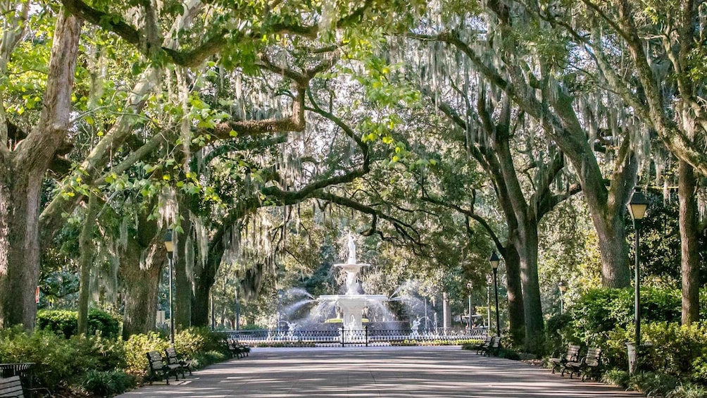 Savannah: History, Culture, & Scenic Views E-Bike Tour