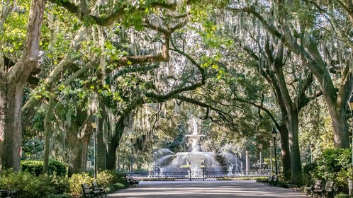 Savannah: Geschiedenis, cultuur en mooie uitzichten E-Bike Tour