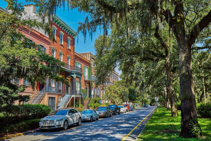 Picture 3 for Activity Savannah: History, Culture, & Scenic Views E-Bike Tour