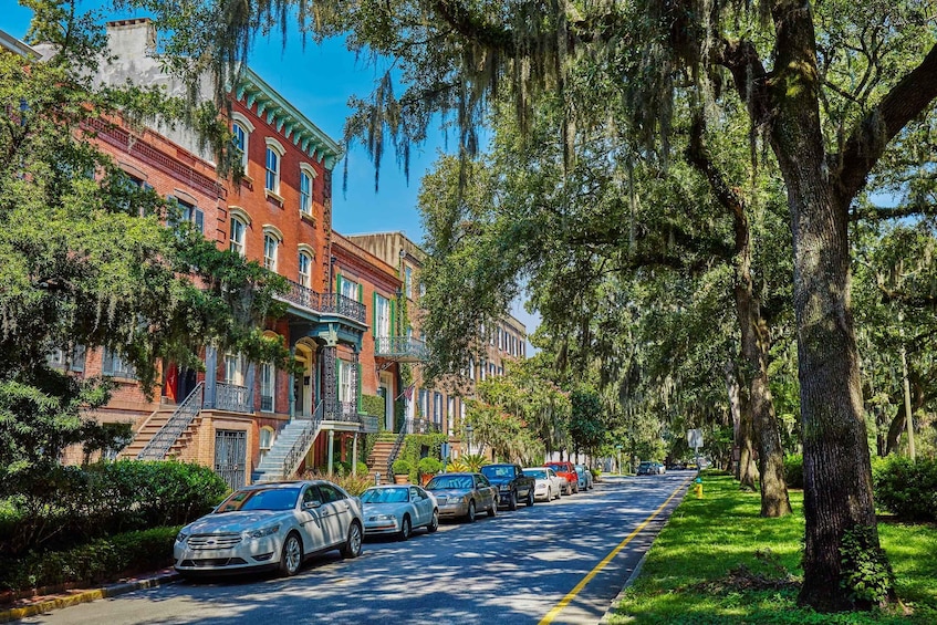 Picture 3 for Activity Savannah: History, Culture, & Scenic Views E-Bike Tour