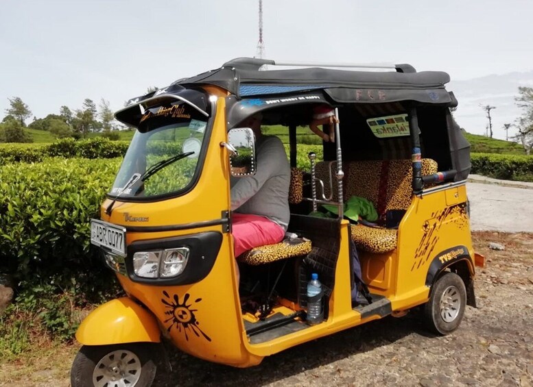 Picture 1 for Activity Ella-Haputae Tea Plantation Safari By Tuk Tuk & Liptons Seat