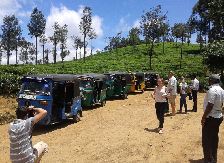 Picture 10 for Activity Ella-Haputae Tea Plantation Safari By Tuk Tuk & Liptons Seat