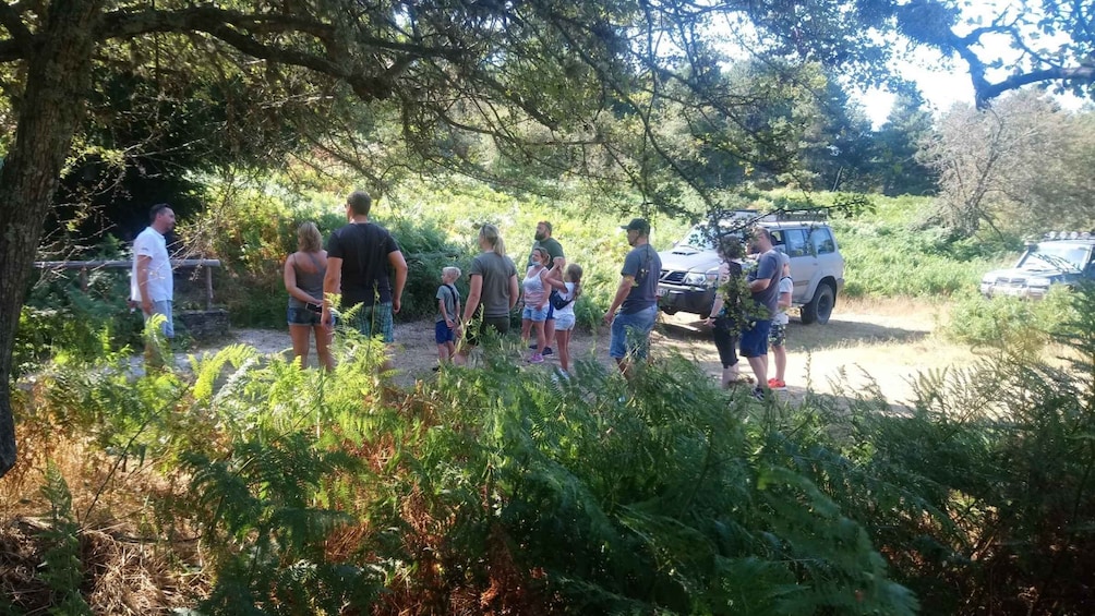 Picture 5 for Activity Halkidiki: Kassandra 4x4 Jeep Safari Off-Road Experience