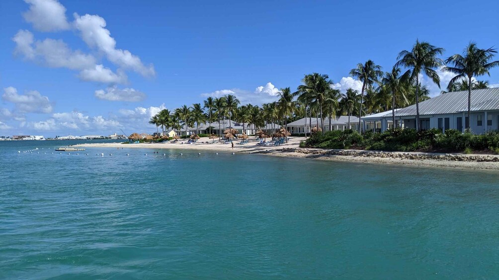 Picture 9 for Activity Florida Keys: Key West Kayak Eco Tour with Nature Guide