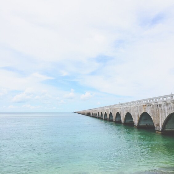 Picture 7 for Activity Florida Keys: Key West Kayak Eco Tour with Nature Guide