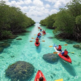 Florida Keys: Key West Kajak Eco Tour mit Naturführer