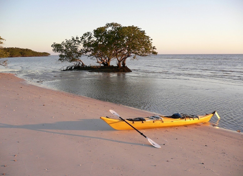 Picture 4 for Activity Florida Keys: Key West Kayak Eco Tour with Nature Guide