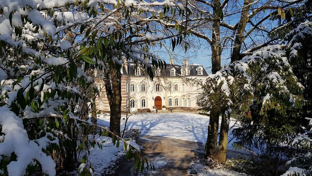 Picture 5 for Activity Epernay: Winery and Cellar Tour with Champagne Tasting