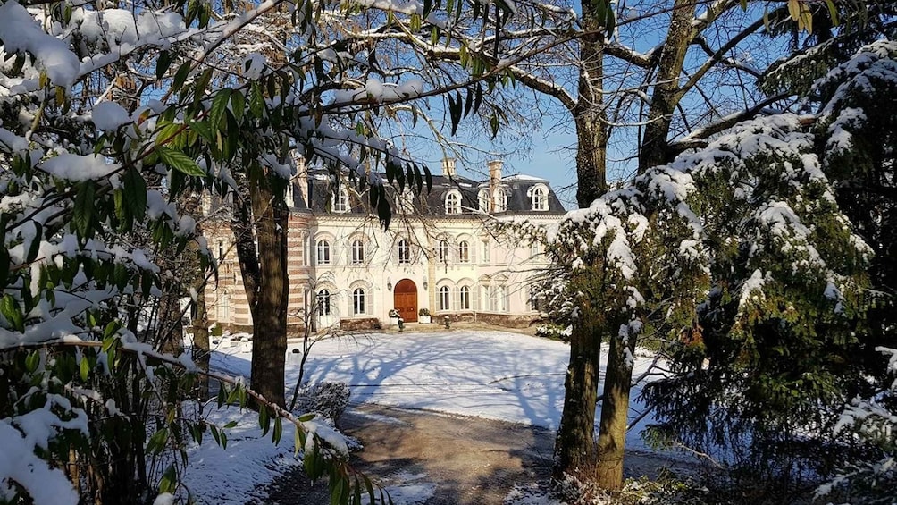 Picture 5 for Activity Epernay: Winery and Cellar Tour with Champagne Tasting