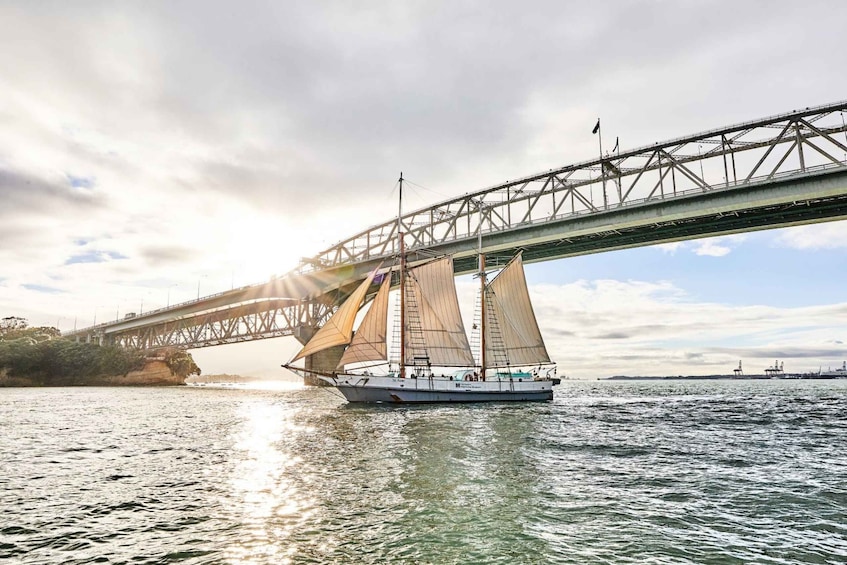 Auckland: Ted Ashby Sailing Tour & Maritime Museum Ticket