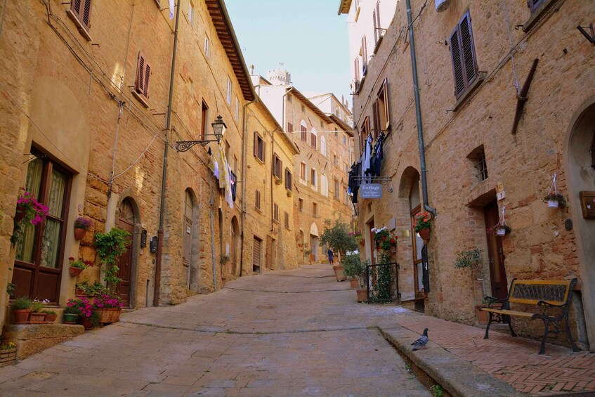 Picture 4 for Activity Volterra: Piazza dei Priori & Cathedral Private Walking Tour