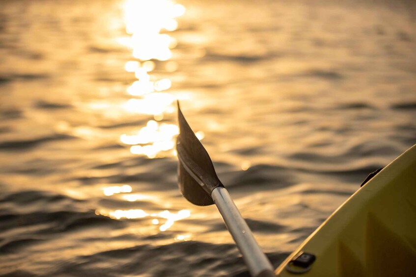 Picture 6 for Activity Dubai: Sunset/Night Dubai Creek Kayak Tour