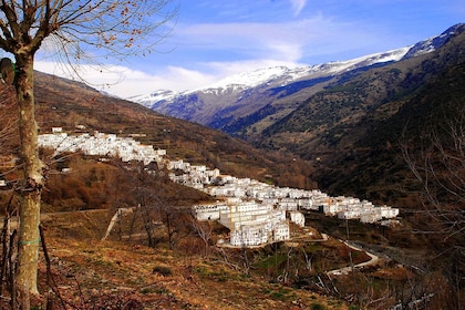 Desde Granada: Excursión de un día a Trevélez con Fábrica de Jamón