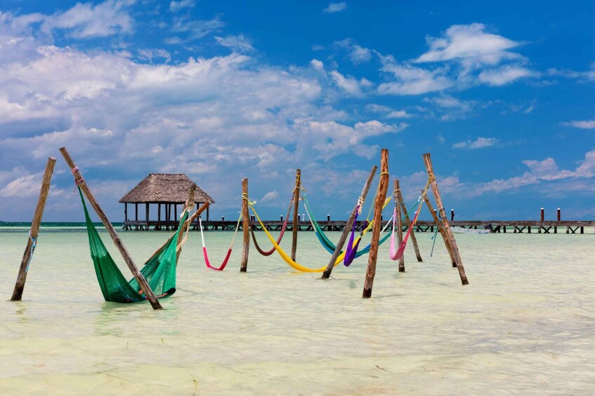 Picture 3 for Activity From Tulum: Holbox Island Full-Day Trip with Lunch