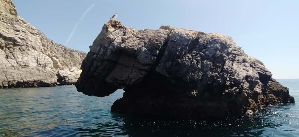 Picture 8 for Activity From Sesimbra: Ribeira do Cavalo Beach and Caves Boat Tour