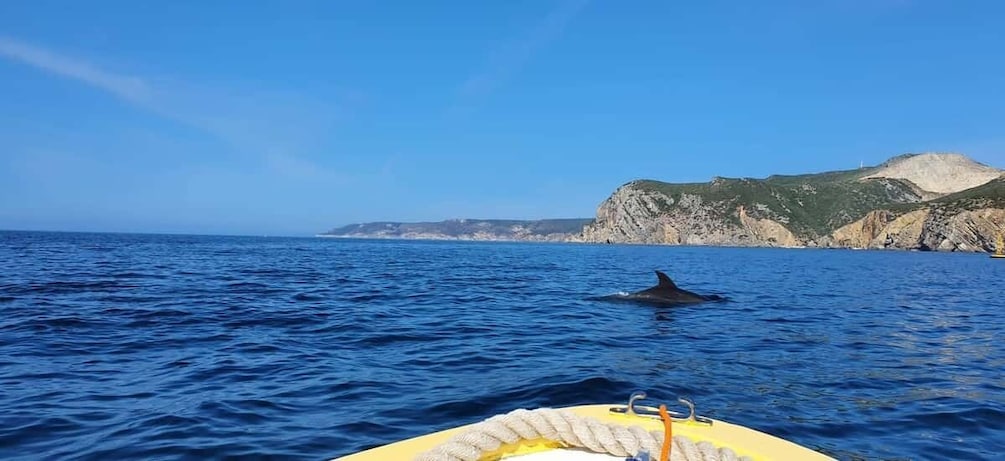 Picture 9 for Activity From Sesimbra: Ribeira do Cavalo Beach and Caves Boat Tour