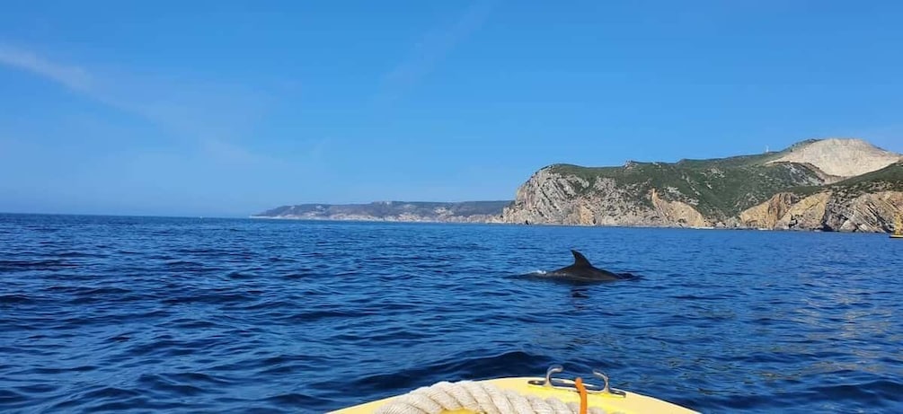 Picture 9 for Activity From Sesimbra: Ribeira do Cavalo Beach and Caves Boat Tour