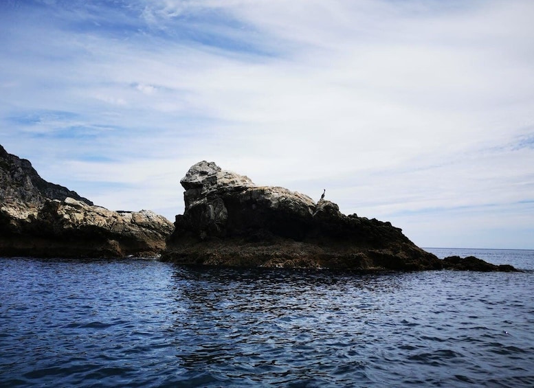 Picture 4 for Activity From Sesimbra: Ribeira do Cavalo Beach and Caves Boat Tour