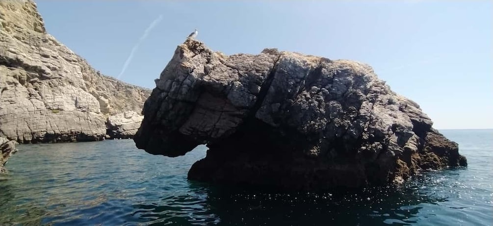 Picture 8 for Activity From Sesimbra: Ribeira do Cavalo Beach and Caves Boat Tour