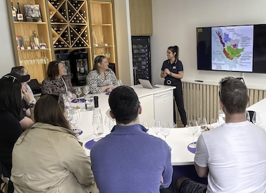Burdeos: taller de introducción a la degustación de vinos de Burdeos
