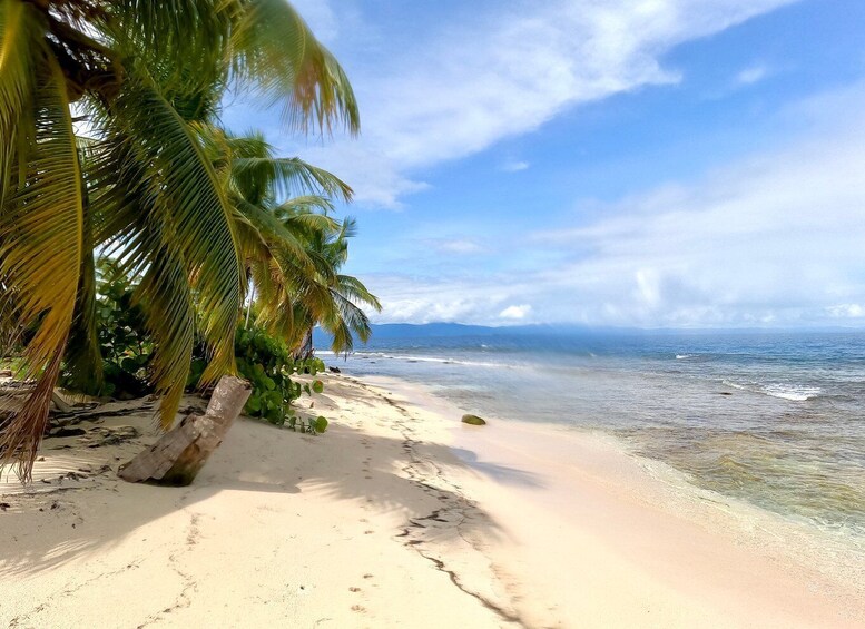 Picture 21 for Activity Panama City: San Blas Islands 2-Night Sailboat Tour w/ Meals
