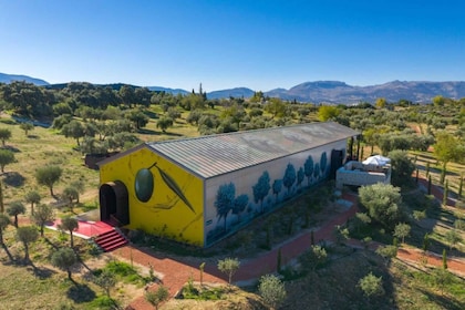 Ronda : Visite de l'huile d'olive biologique avec dégustation