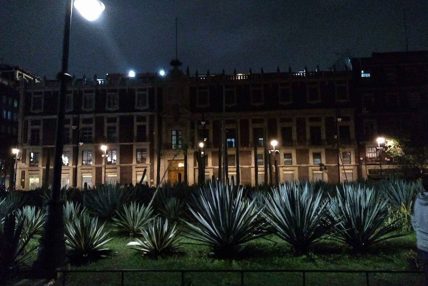 Picture 7 for Activity Mexico City: Double Decker Bus Night Tour