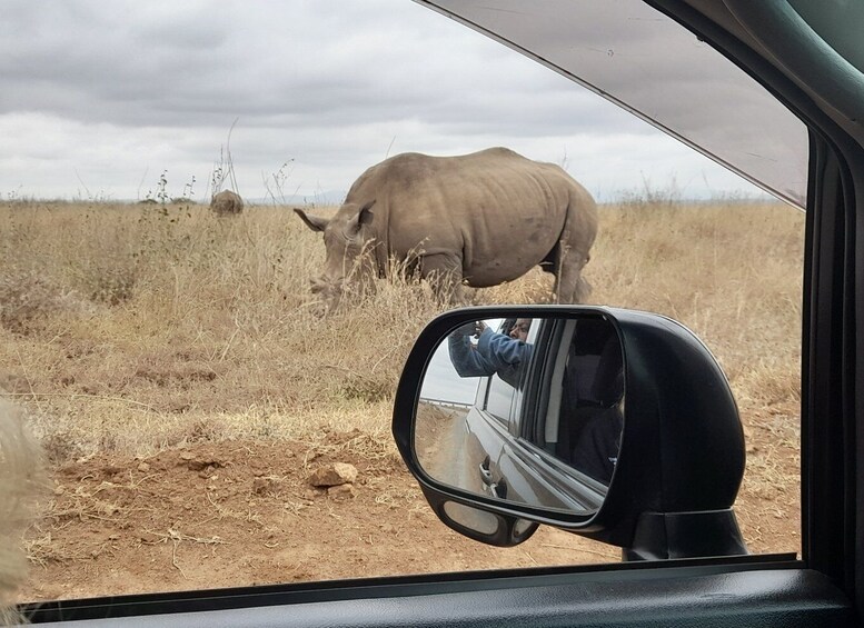 Picture 9 for Activity From Nairobi: Masai Mara National Reserve Safari